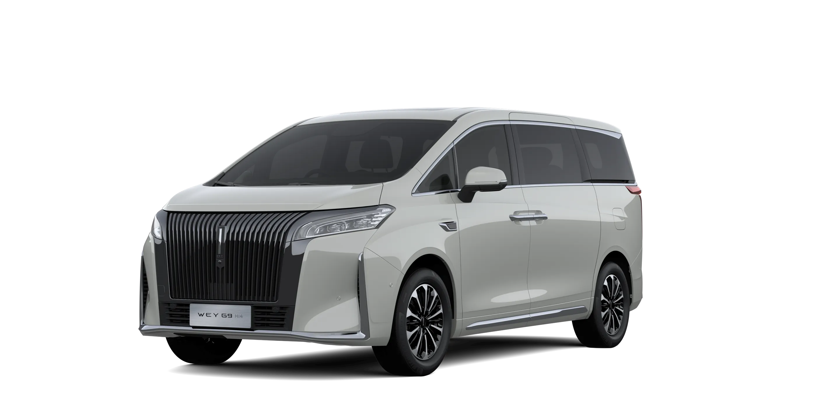 เทา Wisdom Grey